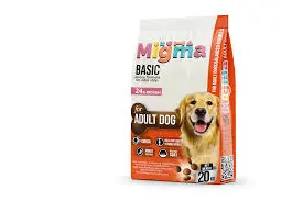 Megma Dog