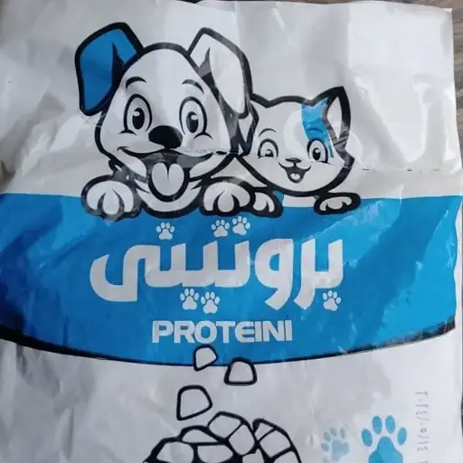 بروتيني 