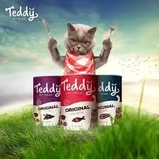 Teddy