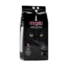 mi gato