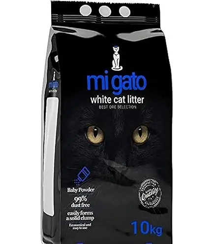 mi gato