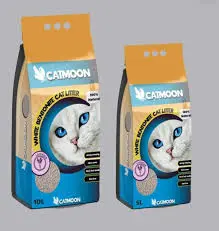 cat moon